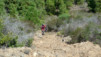 Canaries_13_Roque_Muchachos_033