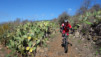 Canaries_13_Roque_Muchachos_034