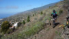 Canaries_13_Roque_Muchachos_036