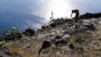 Canaries_13_Roque_Muchachos_041