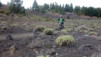 Canaries_13_Ruta_Volcanes_026