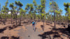 Canaries_13_Ruta_Volcanes_039