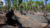 Canaries_13_Ruta_Volcanes_040