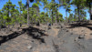 Canaries_13_Ruta_Volcanes_041