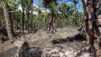 Canaries_13_Ruta_Volcanes_042