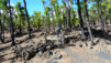 Canaries_13_Ruta_Volcanes_043