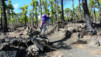 Canaries_13_Ruta_Volcanes_044