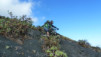 Canaries_13_Ruta_Volcanes_048
