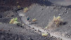Canaries_13_Ruta_Volcanes_054