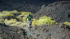Canaries_13_Ruta_Volcanes_056