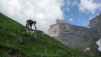 Chamosentze_09_0006.jpg