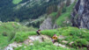 Champery_Salvan_004.jpg