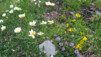 Champery_Salvan_008.jpg