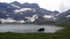 Champery_Salvan_016.jpg