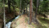 Champillon_013