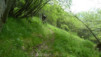 Champillon_026