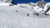 Chantonnet_13_016