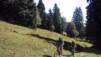 Chasseral_TT_005.jpg