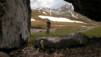 Col-Essets_011.jpg