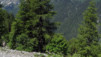 Col_Balme_12_003
