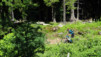 Col_Balme_12_026