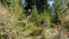 Col_St-Rhemy_09_034