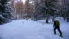 Col_Vijivi_004