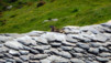 Col_de_Balme_11_021