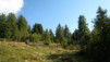 Col_de_Cou_08_031.jpg