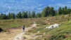 Col_de_Cou_10_018
