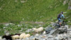 Col_de_Mille_10_017