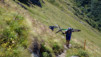Col_de_Mille_11_007