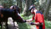 Col_de_Mille_12_049
