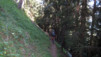 Col_de_Torrent_040.jpg