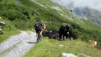 Col_de_la_Forcla_002.jpg