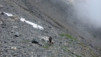 Col_de_la_Forcla_015.jpg
