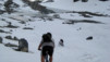 Col_de_la_Forcla_021.jpg