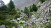 Col_de_la_Forcla_040.jpg