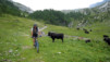 Col_de_la_Forcla_042.jpg