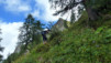 Col_des_Pauvres_VTT_007