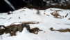 Col_du_Tsate_031