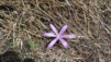 Col_du_Tsate_033