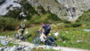 Cols_Ferret_10_005