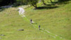 Cols_Ferret_10_006