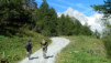 Cols_Ferret_10_007