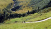Cols_Ferret_10_008