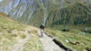 Cols_Ferret_10_011