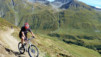 Cols_Ferret_10_012