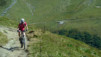 Cols_Ferret_10_015