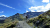 Cols_Ferret_10_018